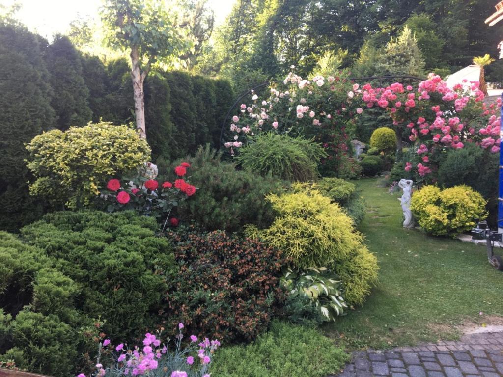 Domek I Apartamenty Zacisze Brenna Exterior foto